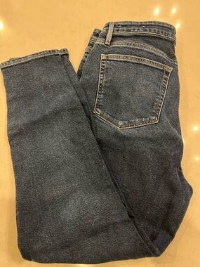 LOFT Dark Blue The Skinny Jeans
